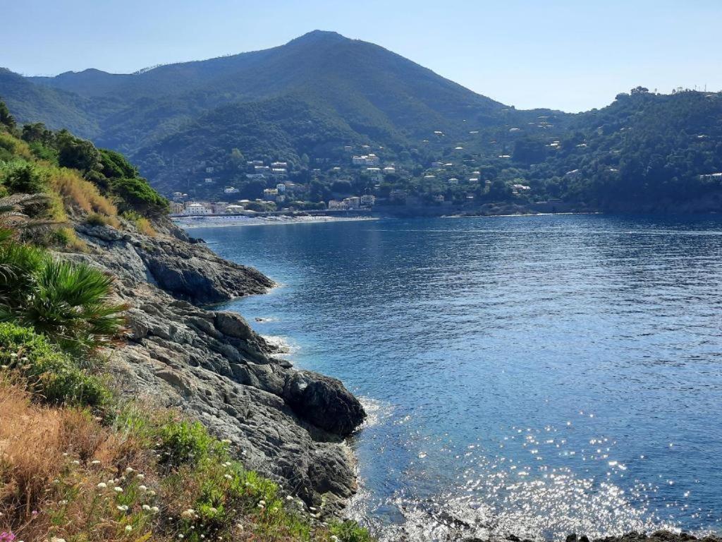 Appartamento Il Vicoletto La Spezia Exterior photo